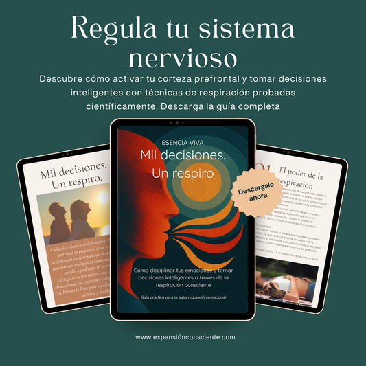 Mil decisiones. Un respiro – Guidebook